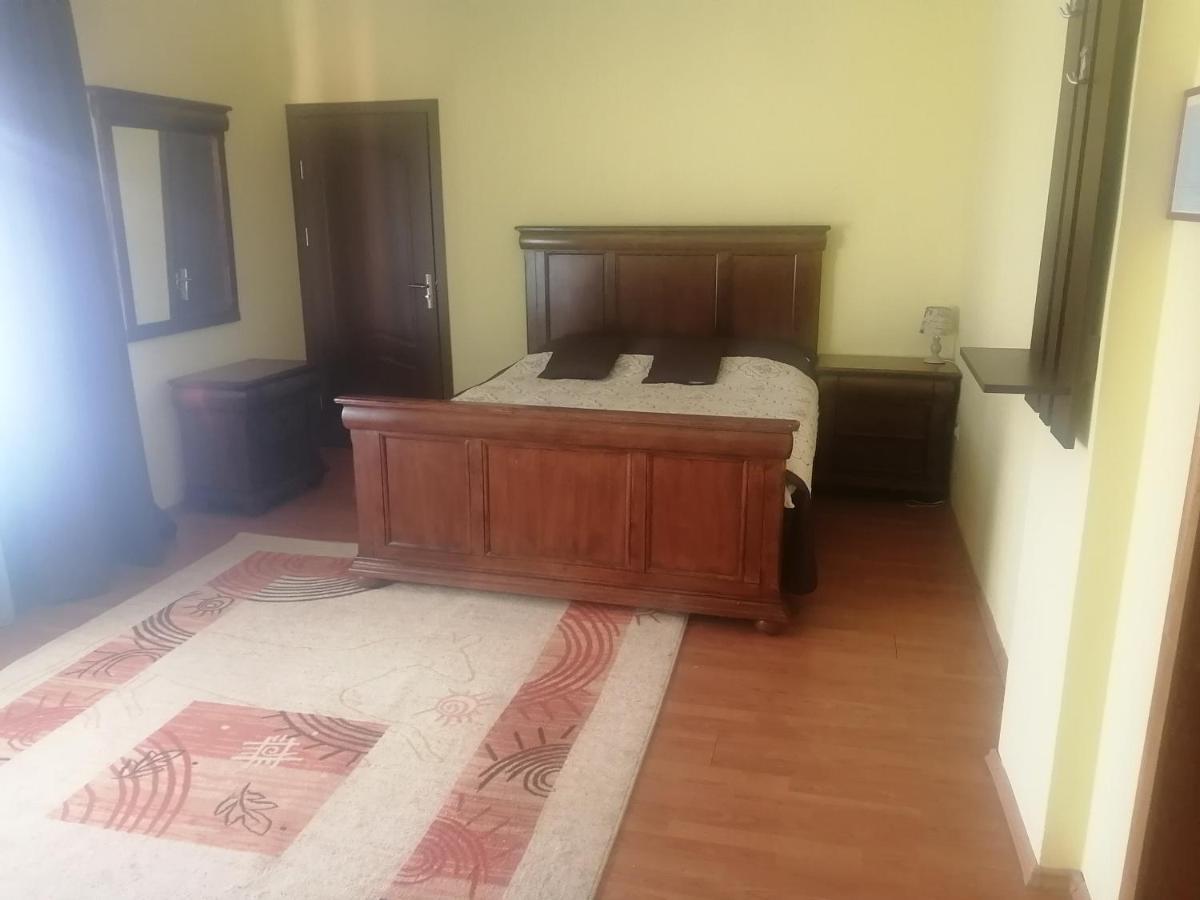 Pensiunea Casa Benko Hostel Bacau Ngoại thất bức ảnh